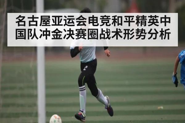 名古屋亚运会电竞和平精英中国队冲金决赛圈战术形势分析