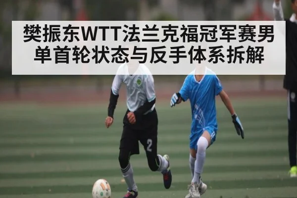 樊振东WTT法兰克福冠军赛男单首轮状态与反手体系拆解